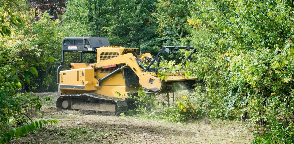 Forestry Mulching Forestry Mulching